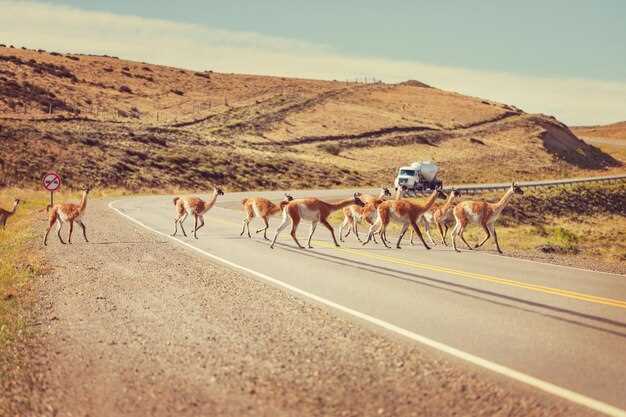 7-Day Southwest Road Trip: The Ultimate Arizona & Utah Itinerary