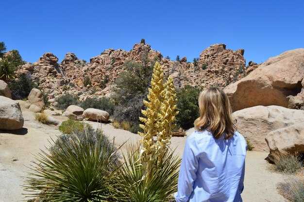 7 Reasons to Visit Gran Canaria - Sun, Sand, and Adventure 7 Reasons to Visit Gran Canaria: Sun, Sand, and Adventure