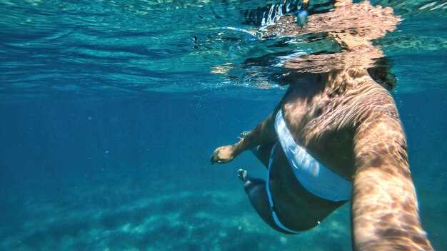 8 Best Cabo Pulmo Tours from Cabo San Lucas and San Jose del Cabo | Snorkeling, Diving & Wildlife Adventures
