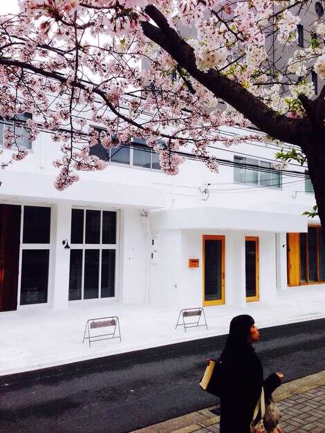 8 Stylish Airbnbs in Tokyo: Trendy Stays for Design Lovers