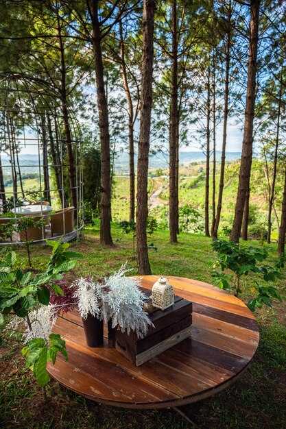 Rainwater Harvesting System