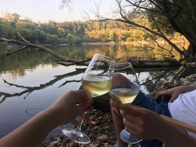 Oxney Organic Estate Rye East Sussex – Organic Sparkling Profile