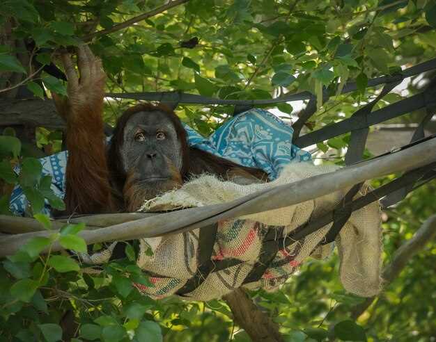 A Day at Mandai Zoo Singapore - An Unforgettable Wildlife Experience A Day at Mandai Zoo Singapore: An Unforgettable Wildlife Experience