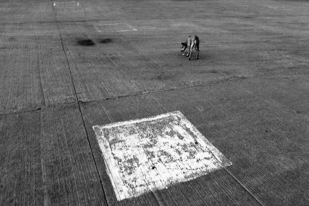 Abandoned Airports: Your Ticket to Nowhere