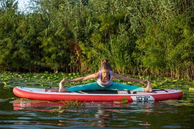 Abu Dhabi Mangrove Kayaking Tour: A Guided Eco Adventure