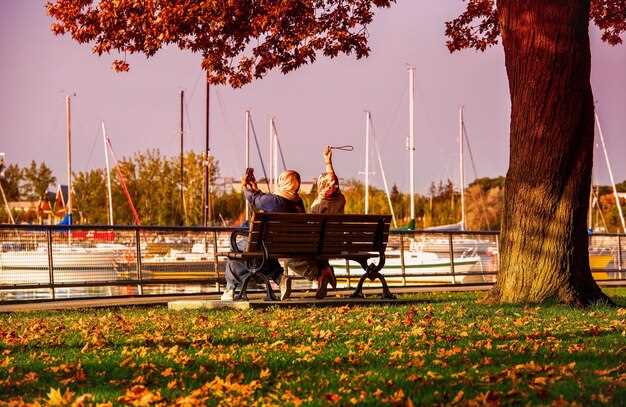 Choose inclusive experiences: museums, parks, theatres, and attractions with accessible access