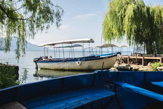 Notable Reviews: what travelers consistently praise or warn about