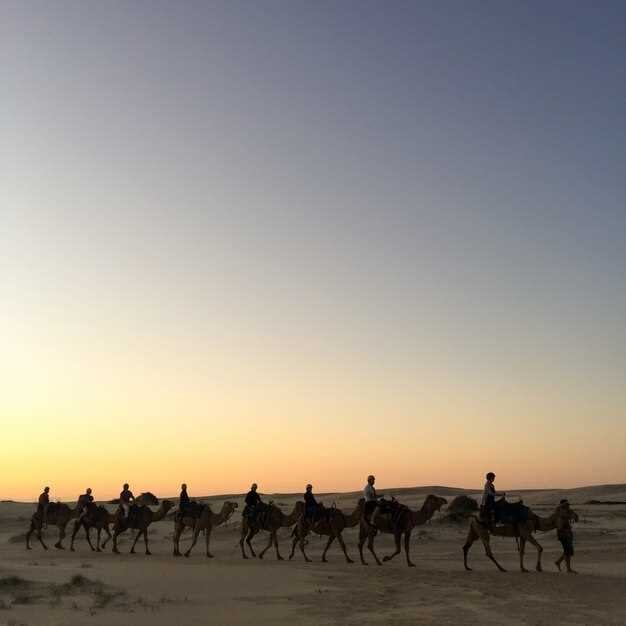 Camel Ride Gear: Clothing for Protection and Mobility