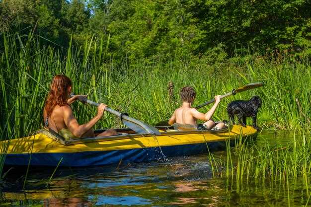 Airboat Swamp Tour – The Ultimate Guided Wildlife Adventure