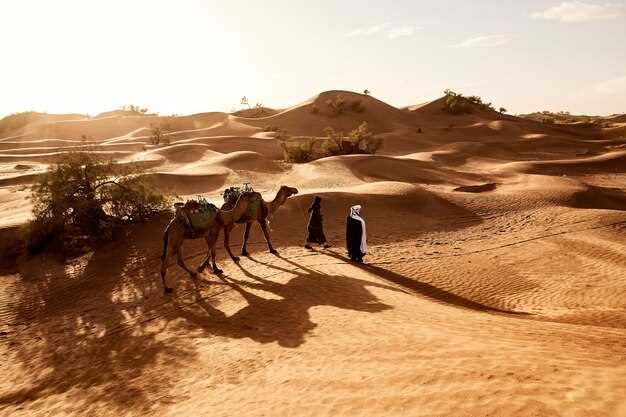 Al Marmoom Bedouin Experience - Dubai Desert Safari – Αυθεντική Βεδουίνικη Κουλτούρα & Περιπέτεια στην Έρημο Al Marmoom Bedouin Experience: Dubai Desert Safari – Αυθεντική Βεδουίνικη Κουλτούρα & Περιπέτεια στην Έρημο