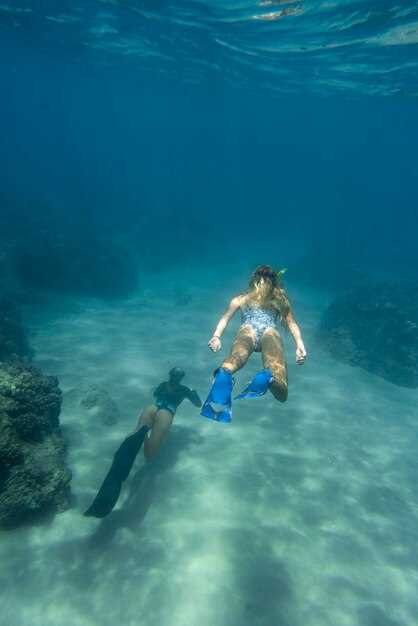 Alanya Dive: Practical Guide to Spots, Gear, and Safety