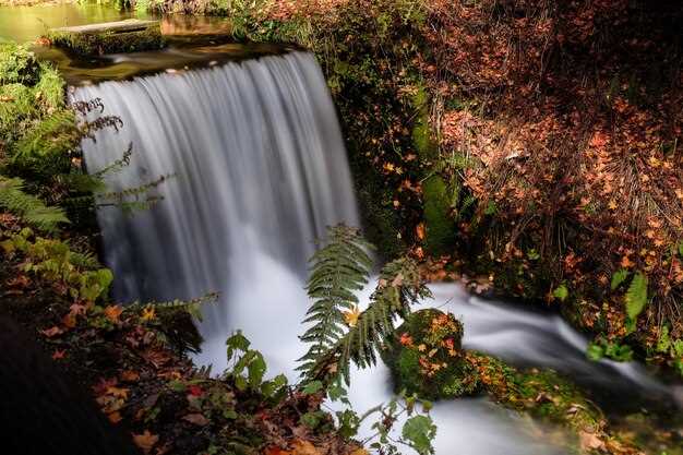 Family-friendly trail length and elevation you should expect