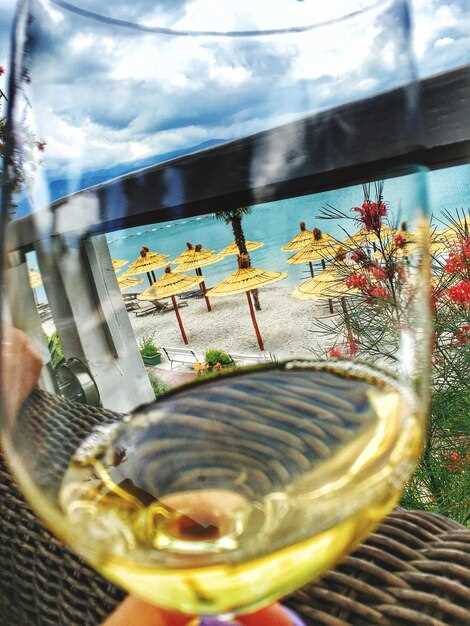 Algarve Wine Tour: Best Wineries, Tastings, and Coastal Scenery
