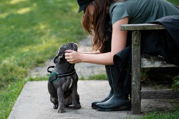 Alleged Rover Pet Sitter Negligence Leads to Dachshund's Death in Mastiff Attack