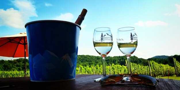 Alsace Wine Tours – Best Routes, Wineries & Tastings