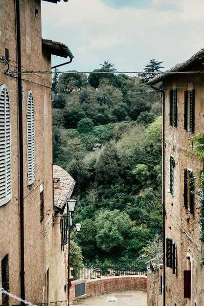 Citta della Pieve flavors: markets, local dishes, and wine pairings