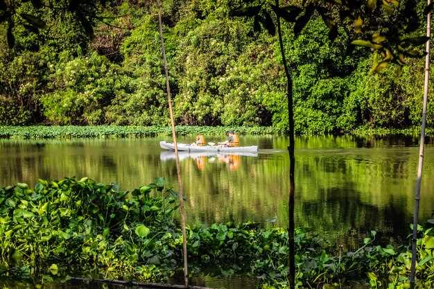 Amazon River Cruises – Best Wildlife & Rainforest Tours