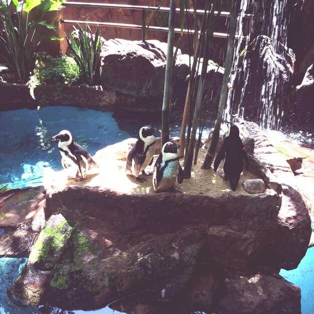 Family Adventures: Kid-friendly pacing, breaks, and facilities