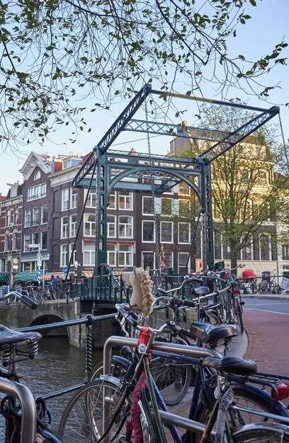 Booking Options vs. Other Zaanse Schans Tours from Amsterdam (2025 Reviews)