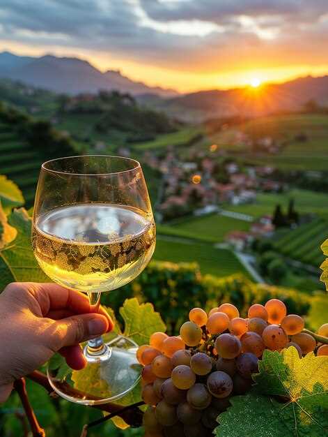 Antica Cantina Leonardi: Traditional Italian Winery and Vineyard – Wines, History, and Tours