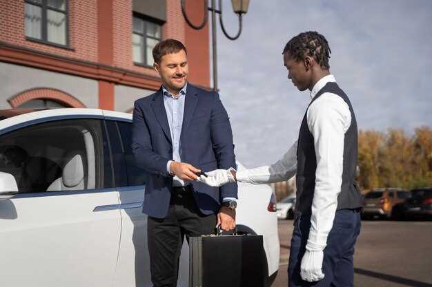 Vehicle Options and Accessibility for Different Travelers