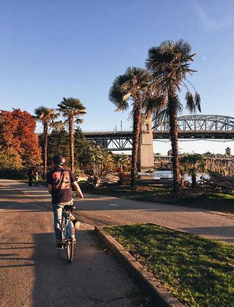 Austin Icons Bicycle Tour – Discover Iconic Landmarks by Bike in Austin