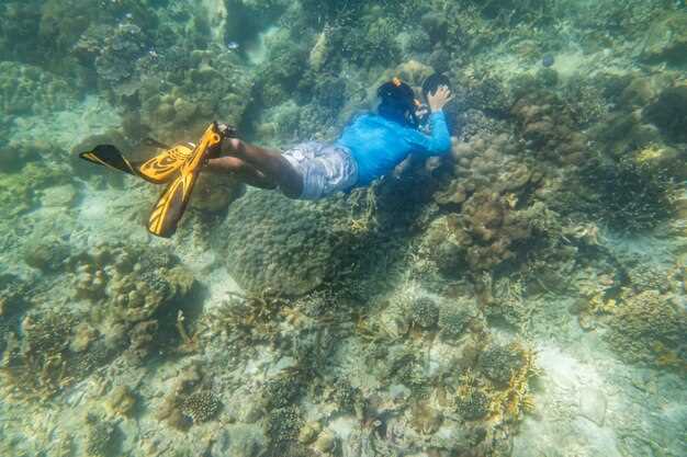 Beginner Diving Experience at Abades Beach, Tenerife – Learn to Dive