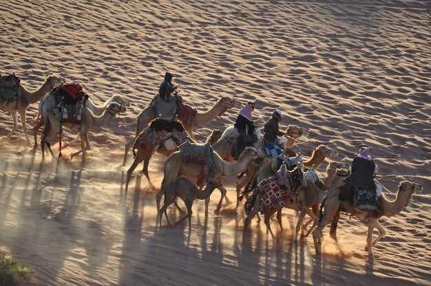 Best Camel Riding Spots in the UAE – Top Desert Safaris and Trails