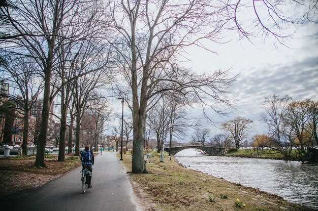 Highlights in Muiden: waterfront strolls, fortifications, and lunch spots