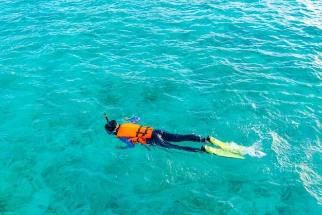 Best Kona Snorkeling Tours and Whale Watching on the Big Island