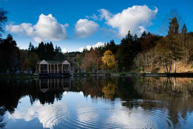 Crispie Estate ★★★★★