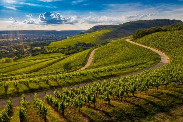 Best Wine Regions in France: A Map for Wine Tours