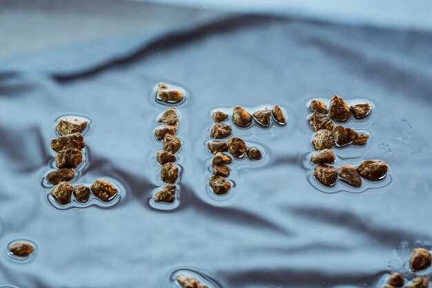 Biodiesel Production Using Aspergillus niger Lipase Immobilized on Barium Ferrite Magnetic Nanoparticles