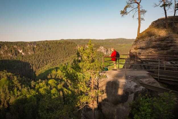 Biogradska Gora National Park Tour - Ultimate Guide & Best Things to Do