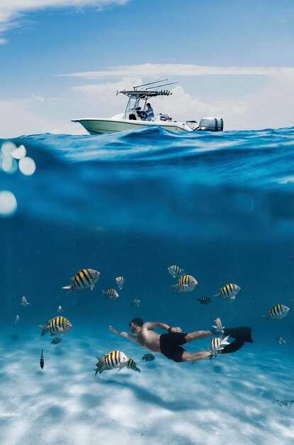 Best Time for Visibility: Water Temperature, Seasons, and Weather Windows
