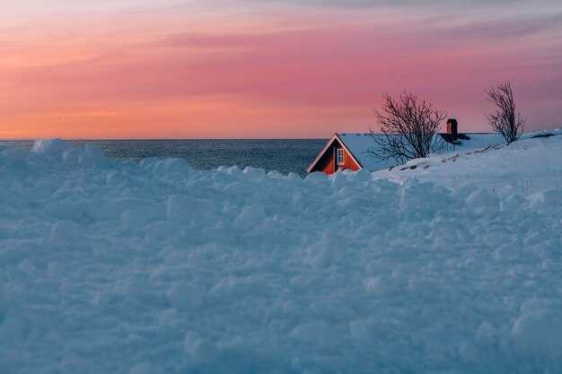 Borealis Basecamp Guide to Alaska's Igloos