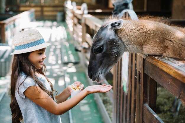 Where to Buy Aquarium at the Boardwalk Tickets Online: Quick Purchase Guide
