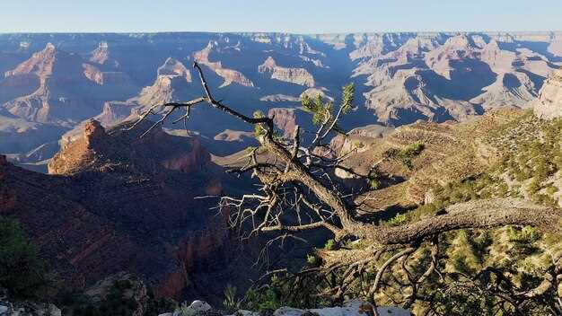 Which nearby parks or routes pair well with Death Valley for a scenic itinerary?