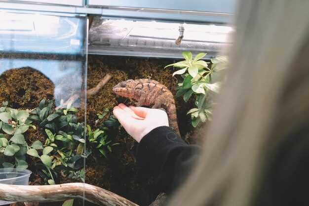 Buy Your Zoo Aquarium Madrid Tickets - Explore the Ultimate Wildlife Experience!