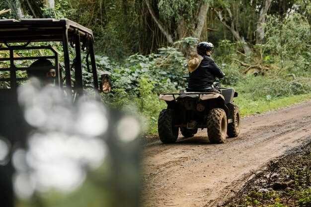 Cagliari 4-Hour ATV Tour from Guasila - Sardinia Off-Road Adventure