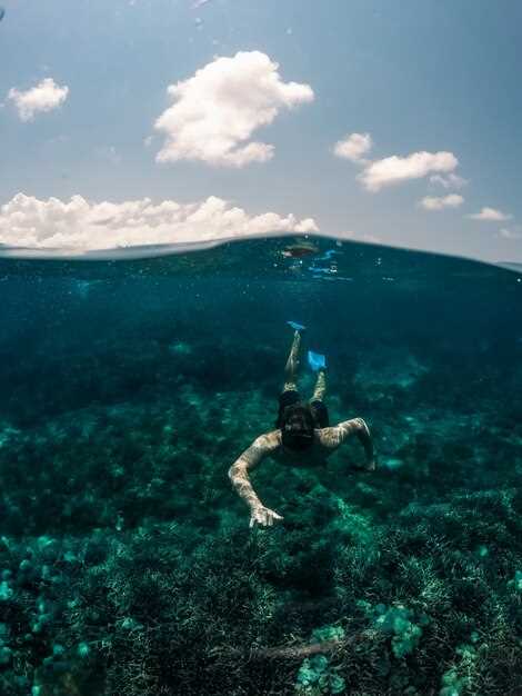Why Go Skydiving in Cairns: The GBR Panorama and Unforgettable Views