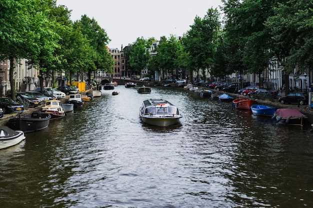 Private vs. Group Tours: Which to Pick?