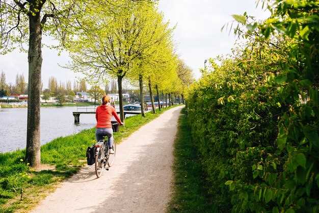 Central Park Bike Tour with Authentic Dutch Bikes | NYC Cycling Experience