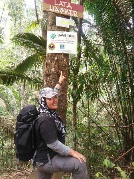 Chiang Mai Jungle Trekking Guide 2025 – Best Trails, Safety Tips & Tours