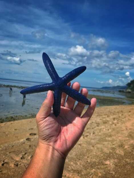 Cuba Tourism in 2025: Struggles Continue Amid Reduced Flights and Ongoing Economic Challenges