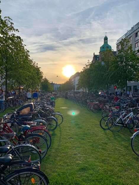 Cycling in Amsterdam – The Ultimate Guide to Biking in the Dutch Capital