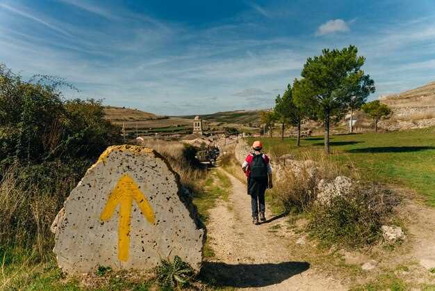 Uncovering the Charm of Lesser-Known Regions