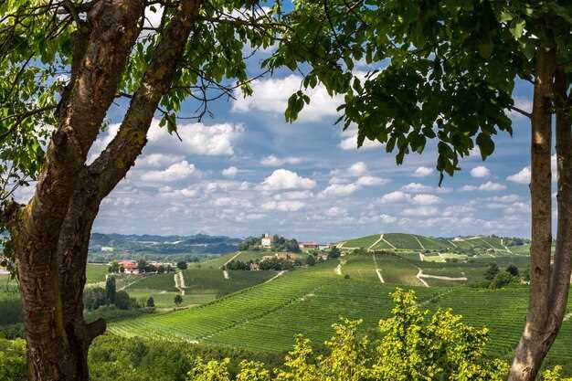 Discover Friuli-Venezia Giulia: Italy's Hidden Gem of Culture, Nature, and Cuisine