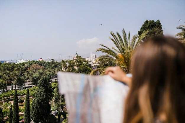 Discover Palma Mallorca - Top Activities, Stunning Palaces, and Lush Palm Trees Discover Palma Mallorca: Top Activities, Stunning Palaces, and Lush Palm Trees