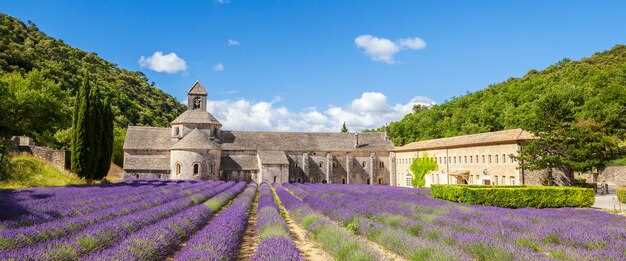 10 Marvel at the Cathedrale Saint Sauveur d’Aix en Provence
